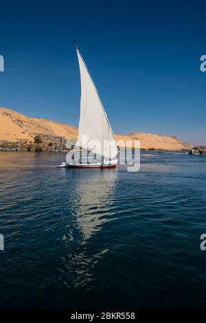 Ägypten, Oberägypten, nahe Elephanine Insel, Segler auf einer Felucca segelnd auf dem Nil Stockfoto