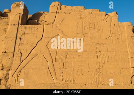 Ägypten, Oberägypten, Niltal, Luxor, Karnak, als Weltkulturerbe der UNESCO, Tempel des Amun, Details der Basrelief Stockfoto