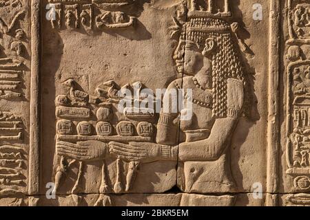 Ägypten, Oberägypten, Niltal, Kom Ombo, Tempel von Sobek und Haroeris, Flachreliefs Stockfoto