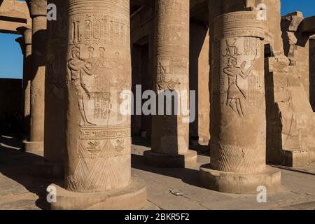 Ägypten, Oberägypten, Niltal, Kom Ombo, Tempel von Sobek und Haroeris, Säulen mit Flachreliefs verziert Stockfoto