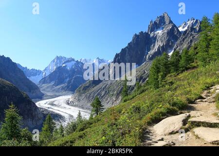 Frankreich, Haute Savoie, Chamonix Mont Blanc, Massif du Mont Blanc, Wanderung auf Le Montenvers durch den Chemin du Signal, mit Blick auf die Mer de Glace, die Aiguille des Grands Charmoz (3445m) und die Grandes Jorasses Stockfoto