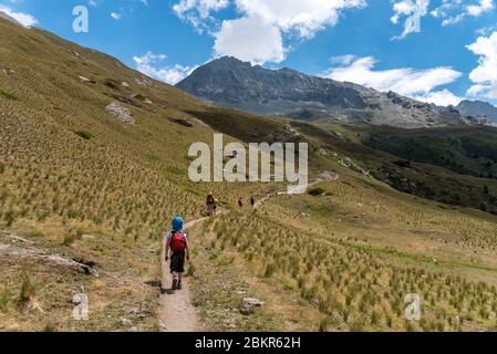 Frankreich, Hautes-Alpes (05), regionaler Naturpark Queyras, Naturschutzgebiet Mont Viso, Ristolas, Familienklettern in Richtung Refuge du Viso Stockfoto