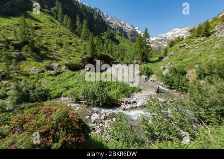 Frankreich, Haute-Savoie (74), Vallorcine, Vallon de B?rard Nature Reserve Stockfoto