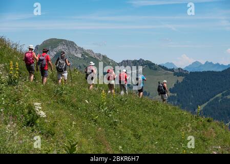 Frankreich, Haute-Savoie (74), Massif du Chablais, La Chapelle-d'Abondance, Naturschutzgebiet des Mont de Grange, Wandergruppe, die von den Chalets de TR?bentaz (1866 m) absteigt Stockfoto