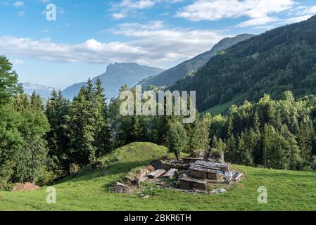 Frankreich, Haute-Savoie (74), Les Contamines-Montjoie, Winterwald Stockfoto