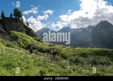 Frankreich, Haute-Savoie (74), Passy, Plaine Joux, Wanderer, die in Richtung Salenton Pass klettern Stockfoto