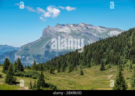 Frankreich, Haute-Savoie (74), Saint-Gervais, le Prarion, Blick auf das Fiz-Massiv vom Weg zum Gipfel des Le Prarion Stockfoto