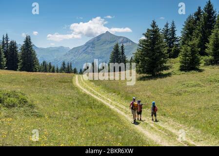 Frankreich, Haute-Savoie (74), Saint-Gervais, le Prarion, Wanderer und Aussichtspunkt auf dem Mont Joly (252525m) im Hintergrund Stockfoto