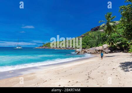 Seychellen, Mah? Insel, Anse Major, Segelboot Liegeplätze 4800 vor Anker, Mann am Strand Stockfoto