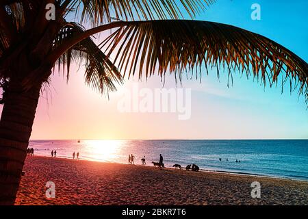 Farbenprächtiger Sonnenuntergang am Strand mit Palmenblättern. Tropisches Sommerkonzept. Stockfoto