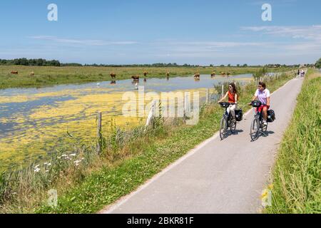 Frankreich, Somme, Le Crotoy, Radtouristen in der Baie de Somme entlang der Seefahrradroute Stockfoto