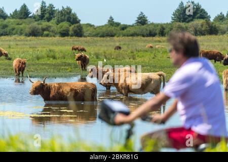 Frankreich, Somme, Le Crotoy, Radtouristen in der Baie de Somme entlang der Seefahrradroute Stockfoto