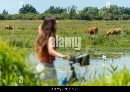Frankreich, Somme, Le Crotoy, Radtouristen in der Baie de Somme entlang der Seefahrradroute Stockfoto