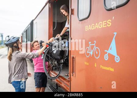 Frankreich, Somme, Saint-Valery-sur-Somme, Radtouristen mit der Dampfeisenbahn des Chemin de Fer de la Baie de Somme Stockfoto