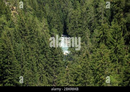 Schweiz, Kanton Wallis, Bellwald, von der Brücke zwischen Furgangen (Bellwald) und Muhlebach (Ernen), Rhone Stockfoto