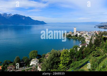 Schweiz, Kanton Waadt, Montreux, Genfersee Stockfoto