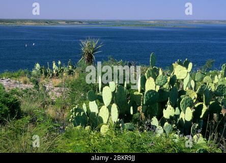 Amistad Reservoir, Amistad National Recreation Area, Texas Stockfoto