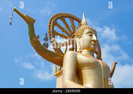 Wat Phra Yai, Großer Buddha Tempel, Ko Samui, Thailand Stockfoto