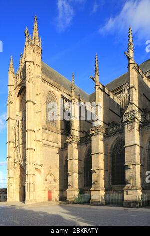 Frankreich, Haute Vienne, Limoges, Bezirk der Stadt, Kathedrale Saint Etienne (XIII 19. Jahrhundert) des gotischen Stils Stockfoto