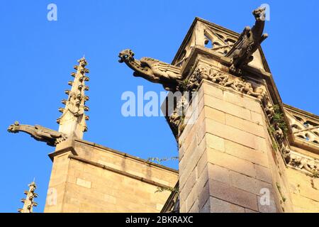 Frankreich, Haute Vienne, Limoges, Bezirk der Stadt, Kathedrale Saint Etienne (XIII 19. Jahrhundert) des gotischen Stils, Wasserspeier Stockfoto