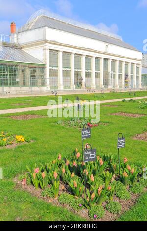 Frankreich, Loiret, Orleans, Saint Marceau Bezirk das Hotel liegt im Umkreis des Loire-Tal natürlichen Region als Weltkulturerbe der UNESCO, Jardin des Plantes gegründet 1834, Orangerie Stockfoto