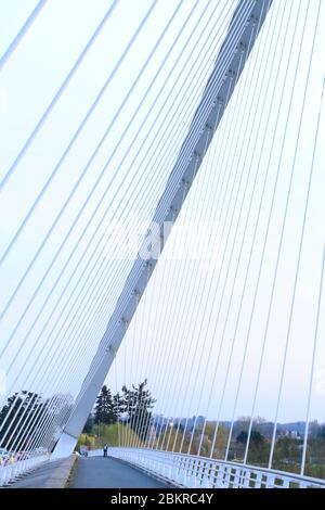 Frankreich, Loiret, Orleans, die Loire, Pont de l'Europe (Umfang des Loire-Tals, das von der UNESCO zum Weltkulturerbe erklärt wurde), erbaut 2000 vom Architekten Santiago Calatrava Stockfoto