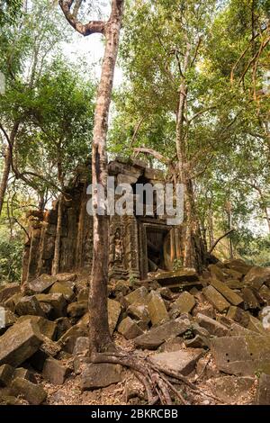 Kambodscha, Siem Reap Bezirk, Beng Mealea Tempel klassifiziert Tempel UNESCO Weltkulturerbe, im 12. Jahrhundert von König Suryavarman II. Erbaut Stockfoto