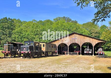 Frankreich, Yonne, Puisaye Region, Saint Fargeau, Dampflokomotive des Schlosses von Saint-Fargeau Stockfoto