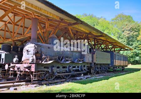 Frankreich, Yonne, Puisaye Region, Saint Fargeau, Dampflokomotive des Schlosses von Saint-Fargeau Stockfoto