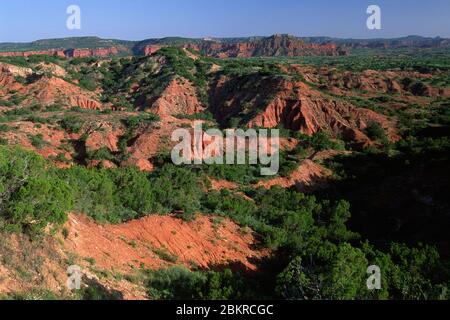 Blick auf die Wüste, Caprock Canyons State Park, Texas Stockfoto