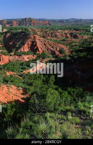 Blick auf die Wüste, Caprock Canyons State Park, Texas Stockfoto