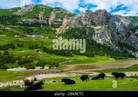 China, Ost-Tibet, oder Kham, Qinghai, Nagchu, gar Kloster Stockfoto