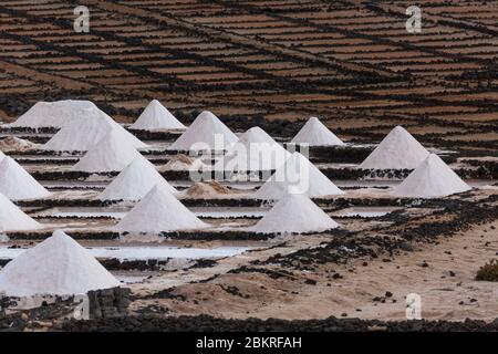 Spanien, Kanarische Inseln, Lanzarote Insel, Südwestküste, Las Salinas de Janubio (Salines de Janubio) Stockfoto