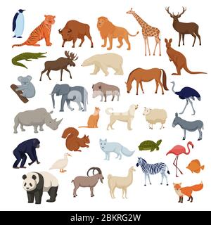 Haustiere im Wildhaus. Wilde Tiere Bison Elefant Fuchs Nashorn Hirsch Eisbär. Stock Vektor