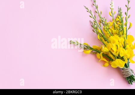 Blumenstrauß auf dem rosa Hintergrund, Platz für Text Stockfoto