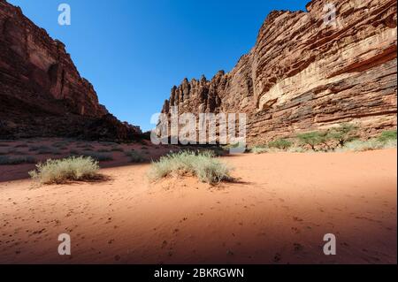 Gegend um das Dorf Al-Disah, Tabuk Region, Saudi-Arabien Stockfoto