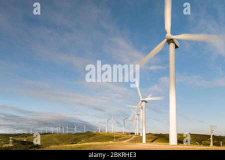 Frankreich, Aude, Nevian, Grande Garrigue de Nevian Windpark, bestehend aus 21 Windkraftanlagen, 0,85 MW gamesa eolica Turbine für eine Gesamtleistung von 17.55 MW, Compagnie du vent LCV, Engie Green, Tochtergesellschaft von '' Engie spezialisiert auf erneuerbare Energien Stockfoto