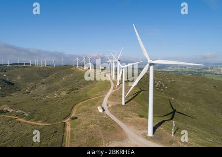 Frankreich, Aude, Nevian, Windpark Grande Garrigue de Nevian, bestehend aus 21 Windturbinen, 0,85 MW gamesa eolica Turbine für eine Gesamtleistung von 17.55 MW, Compagnie du vent LCV, Engie Green, Tochtergesellschaft von '' Engie spezialisiert auf erneuerbare Energien (Luftaufnahme) Stockfoto