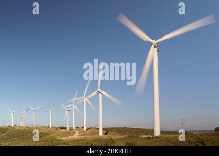 Frankreich, Aude, Nevian, Grande Garrigue de Nevian Windpark, bestehend aus 21 Windkraftanlagen, 0,85 MW gamesa eolica Turbine für eine Gesamtleistung von 17.55 MW, Compagnie du vent LCV, Engie Green, Tochtergesellschaft von '' Engie spezialisiert auf erneuerbare Energien Stockfoto