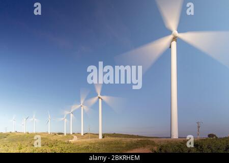 Frankreich, Aude, Nevian, Grande Garrigue de Nevian Windpark, bestehend aus 21 Windkraftanlagen, 0,85 MW gamesa eolica Turbine für eine Gesamtleistung von 17.55 MW, Compagnie du vent LCV, Engie Green, Tochtergesellschaft von '' Engie spezialisiert auf erneuerbare Energien Stockfoto