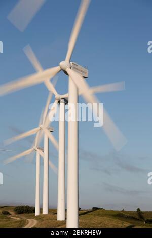 Frankreich, Aude, Nevian, Grande Garrigue de Nevian Windpark, bestehend aus 21 Windkraftanlagen, 0,85 MW gamesa eolica Turbine für eine Gesamtleistung von 17.55 MW, Compagnie du vent LCV, Engie Green, Tochtergesellschaft von '' Engie spezialisiert auf erneuerbare Energien Stockfoto