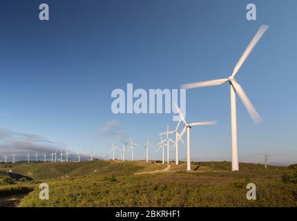 Frankreich, Aude, Nevian, Grande Garrigue de Nevian Windpark, bestehend aus 21 Windkraftanlagen, 0,85 MW gamesa eolica Turbine für eine Gesamtleistung von 17.55 MW, Compagnie du vent LCV, Engie Green, Tochtergesellschaft von '' Engie spezialisiert auf erneuerbare Energien Stockfoto