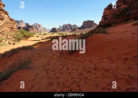 Gegend um das Dorf Al-Disah, Tabuk Region, Saudi-Arabien Stockfoto