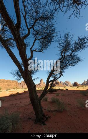 Gegend um das Dorf Al-Disah, Tabuk Region, Saudi-Arabien Stockfoto