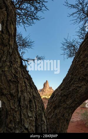 Gegend um das Dorf Al-Disah, Tabuk Region, Saudi-Arabien Stockfoto