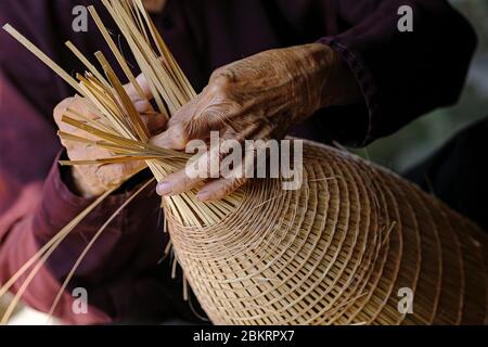 Vietnam, Provinz Hung Yen, in der Nähe von Hanoi, Dorf Su Thy, Bambuskorbwerk, Fischfalle Stockfoto