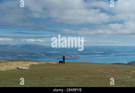 Ein männlicher Geher und ein lockiger Retriever auf Maol Odhar. Loch Linnhe im Hintergrund. Ben Cuachan ist auf der linken Seite mit Wolke auf dem Gipfel Stockfoto