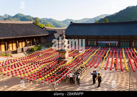 Südkorea, Südgyeongsang Provinz, Haein Tempel, Laternen im Tempelhof anhängend anlässlich Buddhas Geburtstag Stockfoto