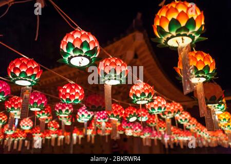 Südkorea, Südgyeongsang Provinz, Haein Tempel, Nachtansicht der hängenden Laternen im Tempelhof anlässlich Buddhas Geburtstag Stockfoto