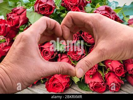 Herz geformte Hände über Strauß von roten Rosen Hintergrund. Stockfoto